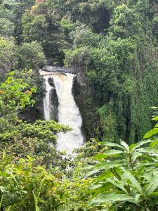 Bob Weeks Hawaiian Experience